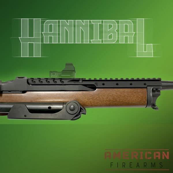 Hannibal rail via Samson