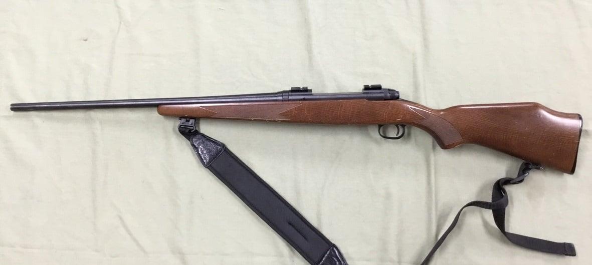 Savage 110