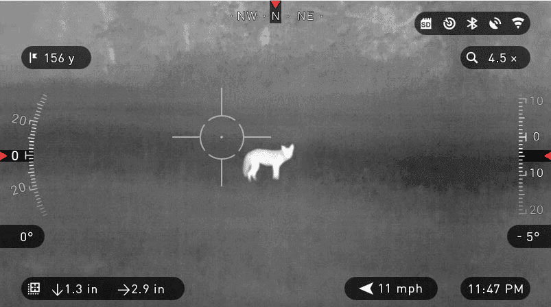 Coyote viewed through a thermal scope at 4.5 magnification and a litttle over 150 yards..