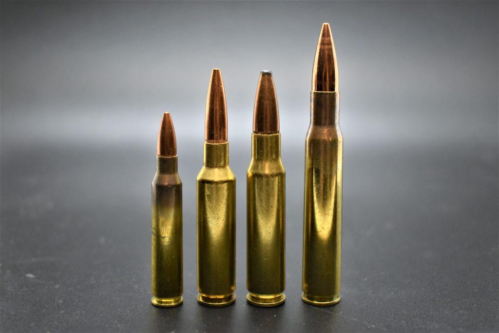 From left to right: 5.56, 6.5CM, .308, & the 30.06